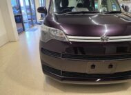 2015 Toyota Spade Y