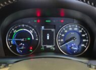2018 TOYOTA ALPHARD AWD SRC (HYBRID) AYH30